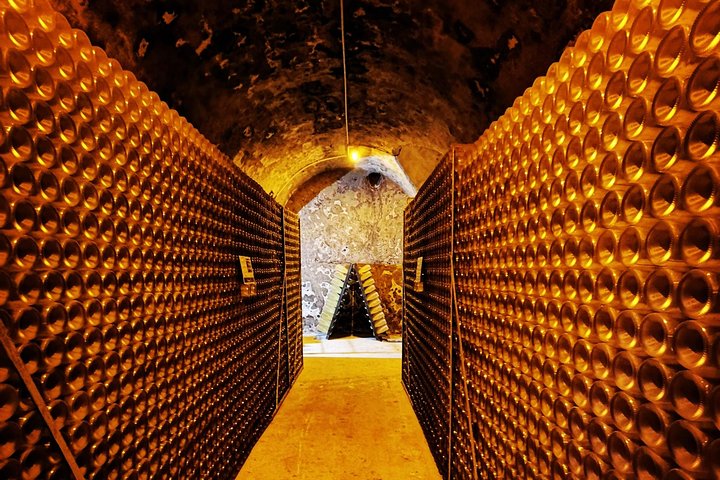 From Reims Champagne Day Trip Veuve Clicquot Local Domain & Lunch