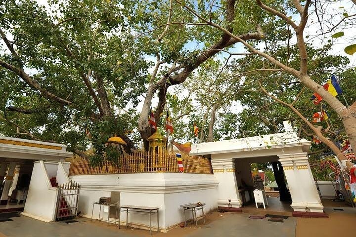 Anuradhapura: Tuk Tuk Tour at Ancient City with Audio Guide
