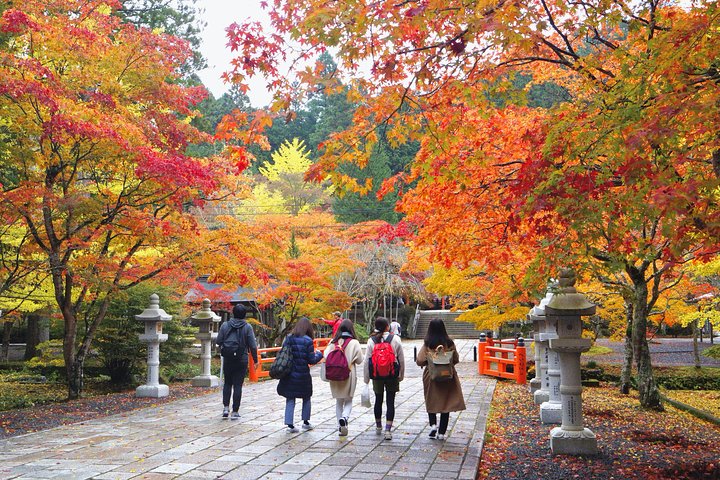 Koyasan Full-Day Private Tour