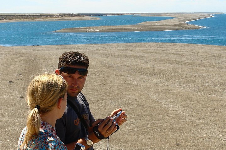 Exclusive Peninsula Valdes Nature & Wildlife for Cruise Guests