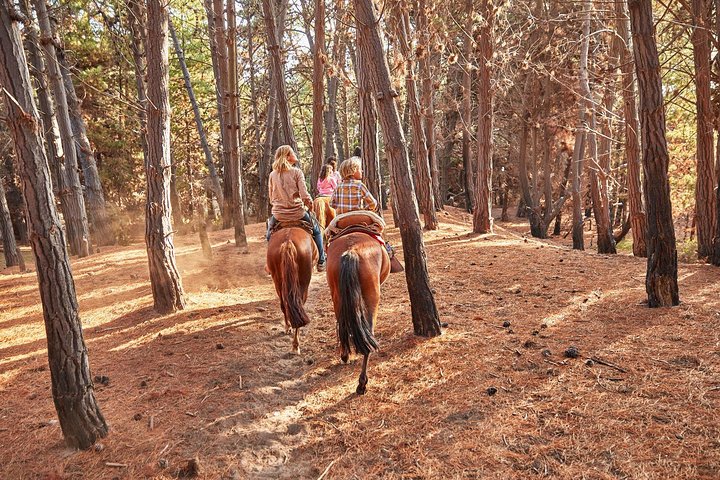 Mauco Hill Hiking & Horseback Riding on the Beach From VALPARAISO