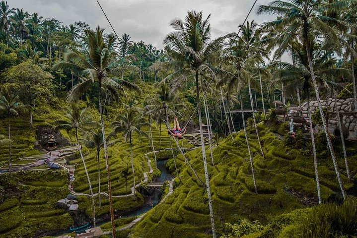 Ubud: Monkey Forest, Jungle Swing, Rice Terrace and Water Temple