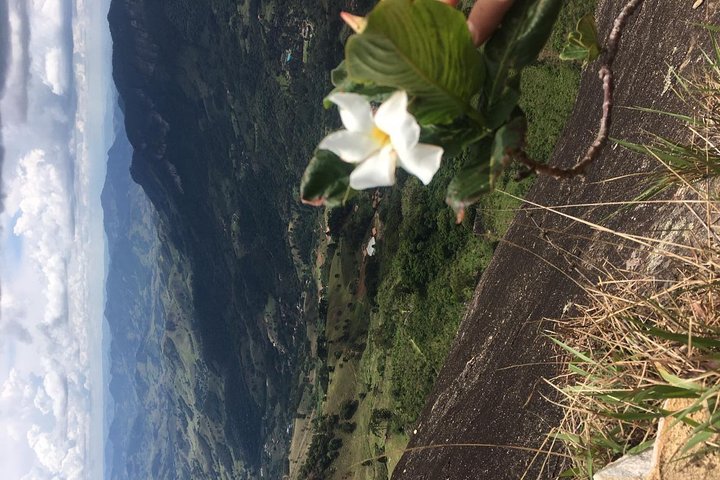 The Brazilian Switzerland - Full Day Trip on Campos do Jordão from São Paulo