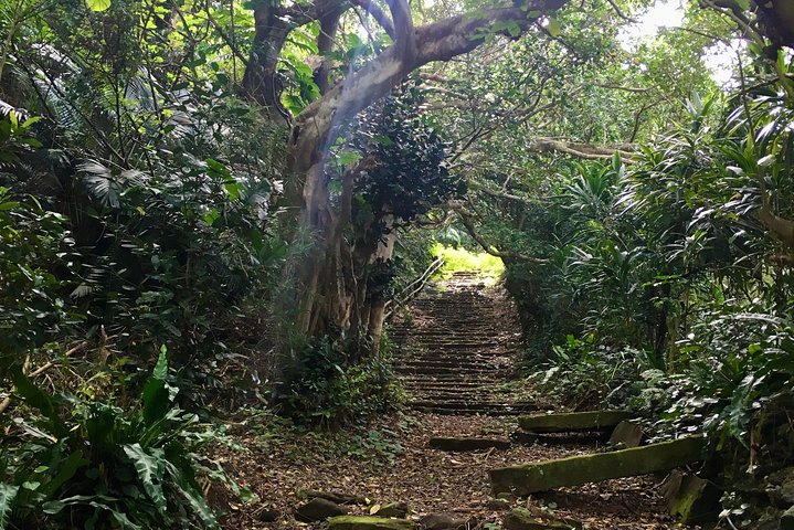 Iriomote Culture Discovery. Indigenous culture on Iriomote Island