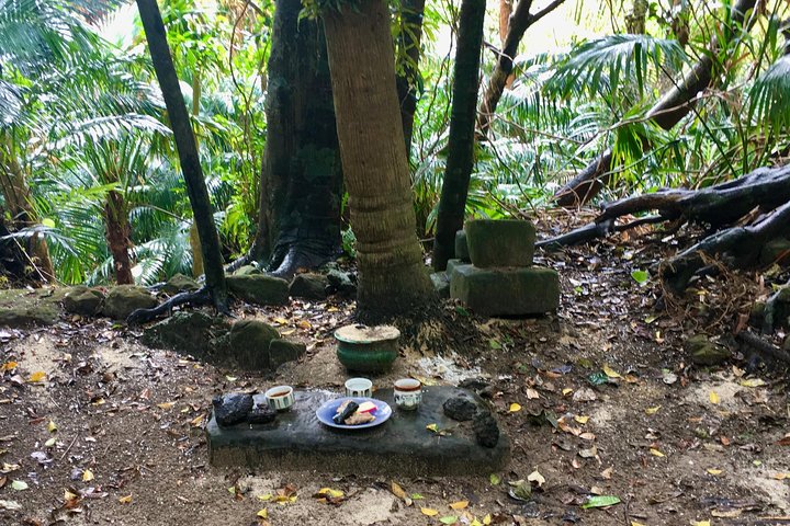 Iriomote Culture Discovery. Indigenous culture on Iriomote Island