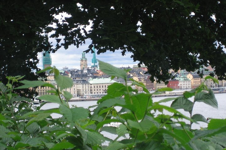 Stockholm Top attractions all-inclusive Grand Tour