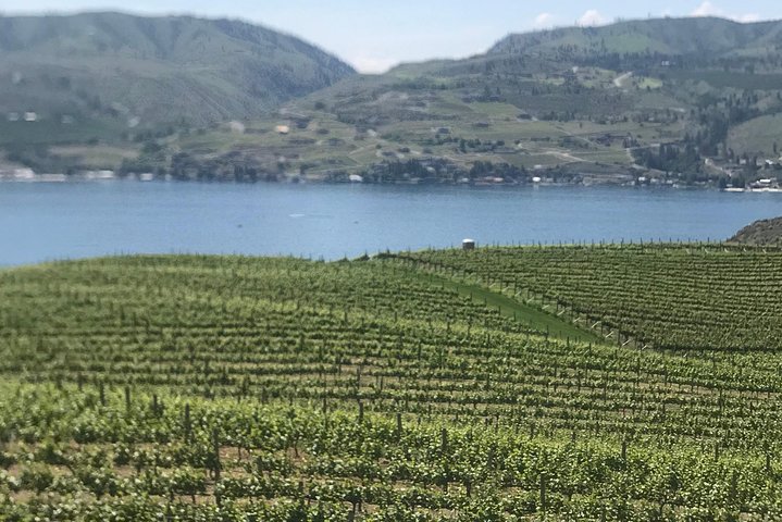 Whitewater and Wine: Wenatchee River Whitewater Rafting and Winery Tour