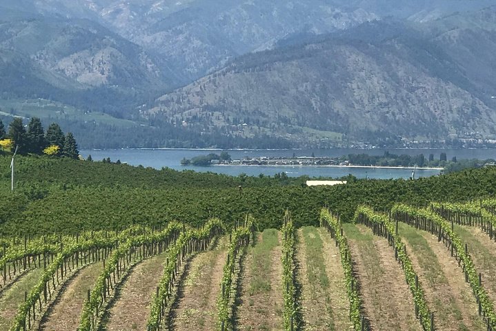 Whitewater and Wine: Wenatchee River Whitewater Rafting and Winery Tour