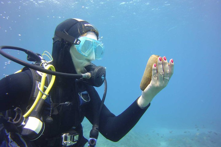 Scuba Diving Beginner's Session in Costa Adeje