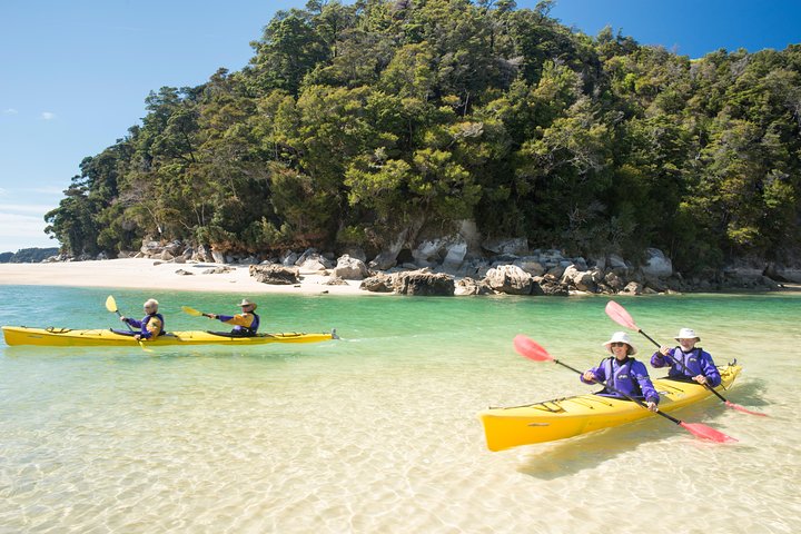 Split Apple Paddle Guided Kayak - Nelson