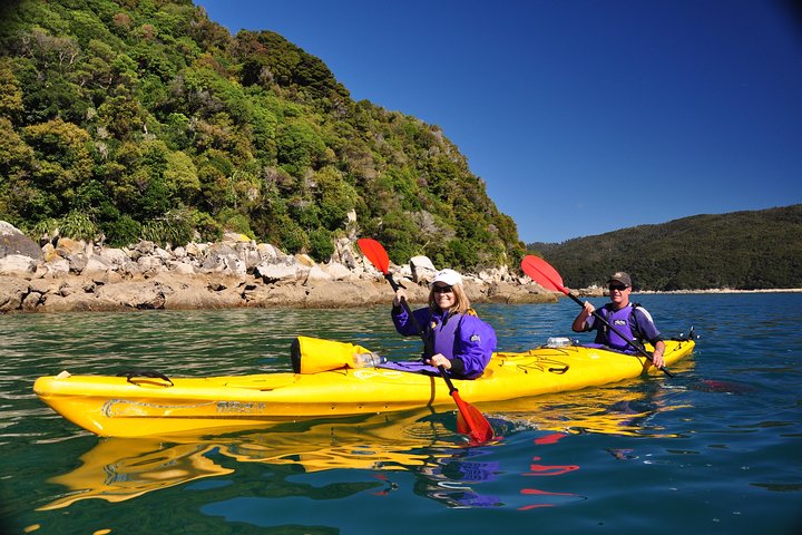 Split Apple Paddle Guided Kayak - Nelson