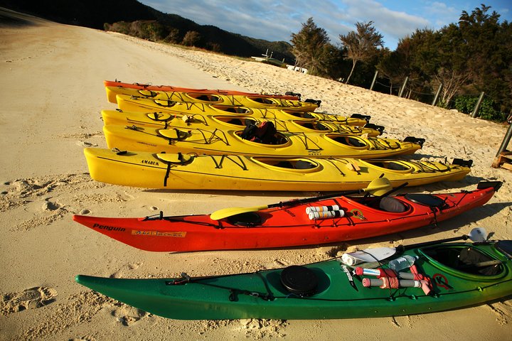 Split Apple Paddle Guided Kayak - Nelson