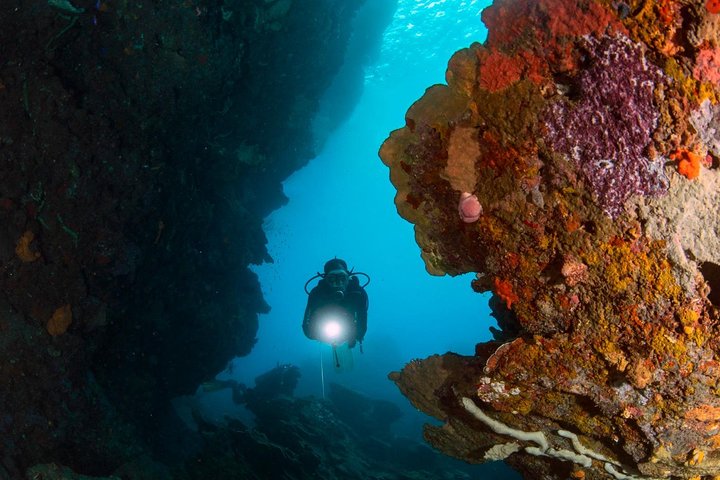 7 Nights Diving Tour in Milne Bay in Alotau
