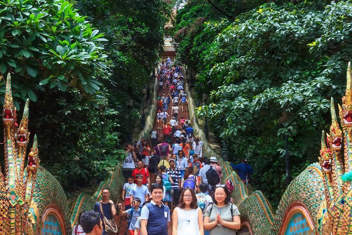 Chiang Mai Best City Tour with Doi Suthep, Pha Lat & Chedi Luang