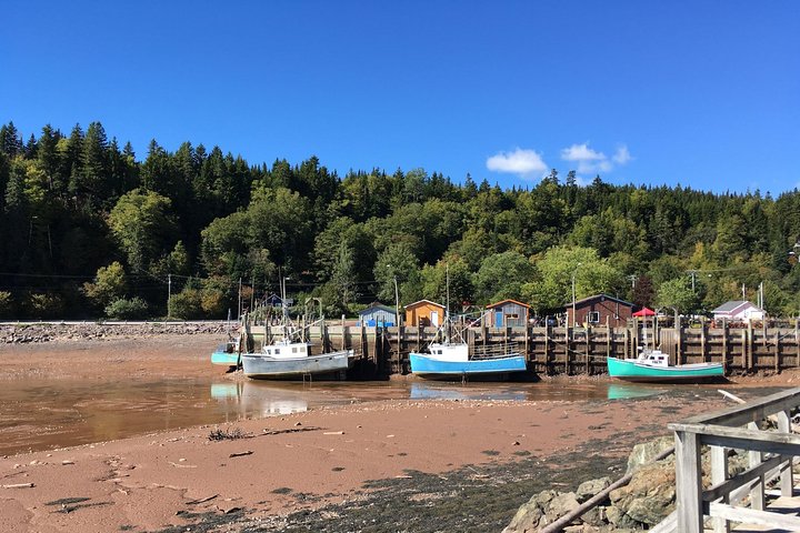 Bay of Fundy Tour by Bus