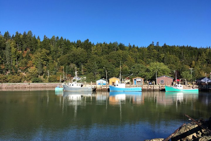 Bay of Fundy Tour by Bus