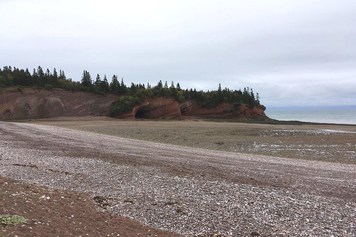 Bay of Fundy Tour by Bus