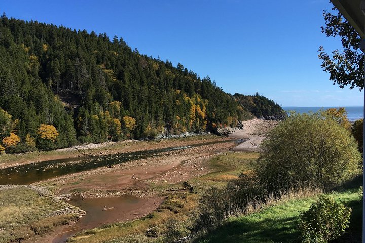 Bay of Fundy Tour by Bus