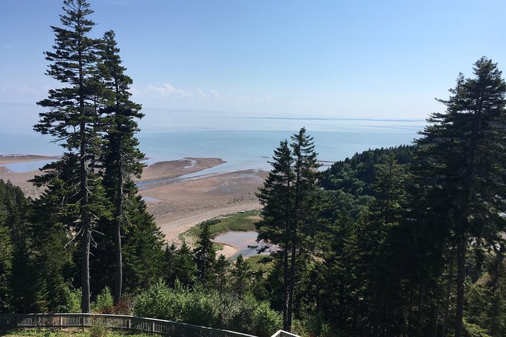 Bay of Fundy Tour by Bus