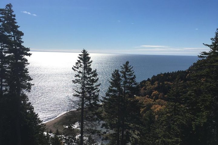 Bay of Fundy Tour by Bus