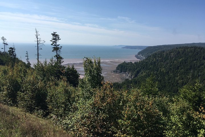 Bay of Fundy Tour by Bus