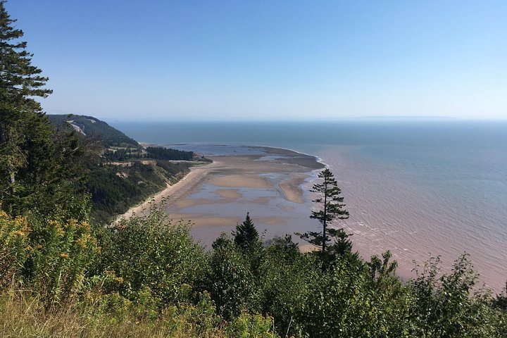 Bay of Fundy Tour by Bus