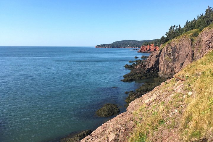 Bay of Fundy Tour by Bus
