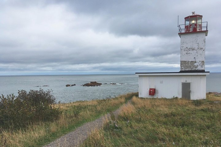 Bay of Fundy Tour by Bus