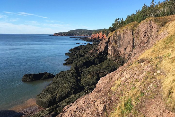 Bay of Fundy Tour by Bus