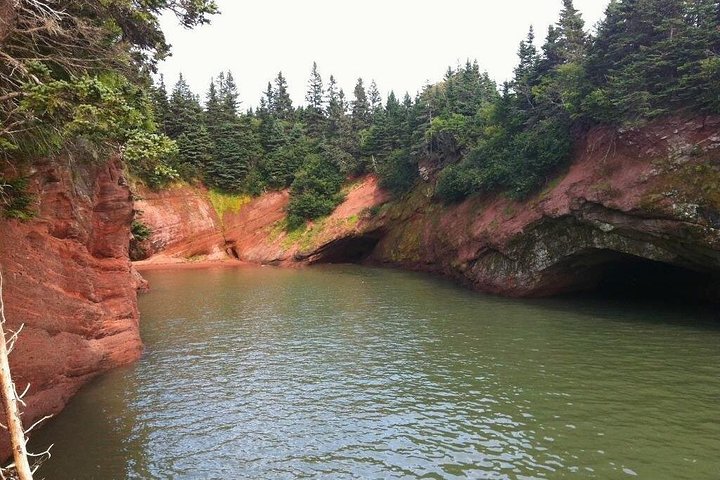 Bay of Fundy Tour by Bus