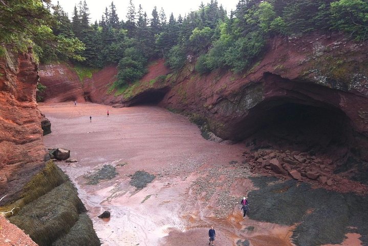 Bay of Fundy Tour by Bus