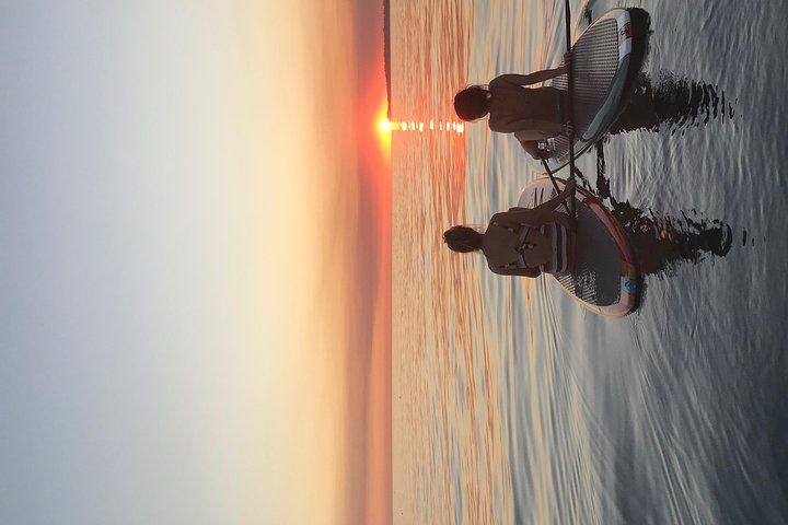 Stand up Paddle Board in Malibu