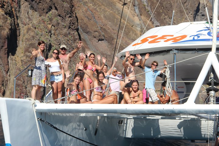 Dolphin and Whale Watching Catamaran Cruise from Funchal