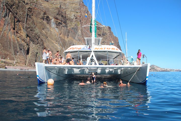 Dolphin and Whale Watching Catamaran Cruise from Funchal
