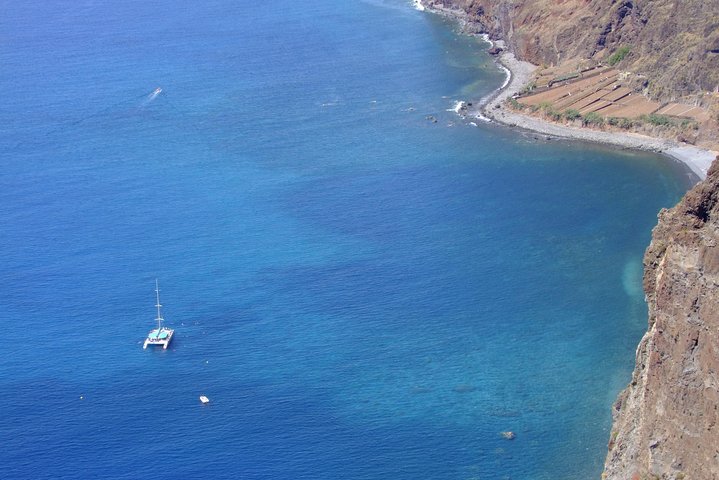 Dolphin and Whale Watching Catamaran Cruise from Funchal