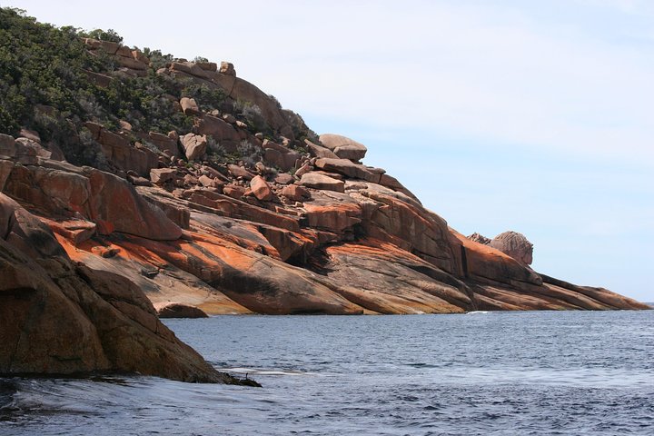 Wineglass Bay Cruise from Coles Bay