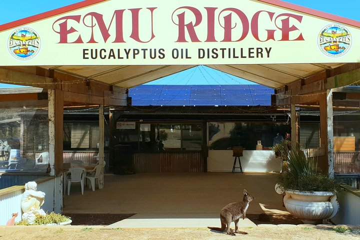 2 day Ultimate Kangaroo Island with return ferry