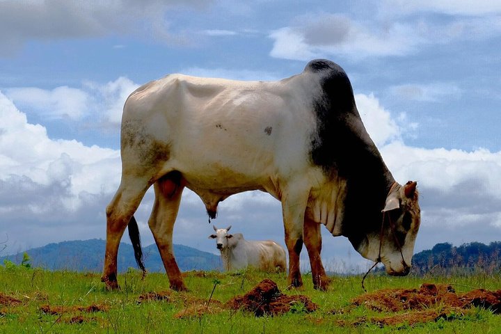 3 Days 2 Night " Off the beaten track ” ( Kalaw to Inle )