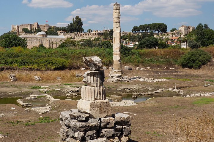 FOR CRUISERS: Ephesus & Virgin Mary Tour with ENTRY TICKET+LUNCH