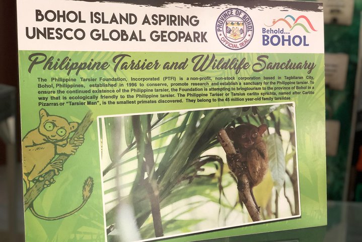 Private Day Trip Cebu to Bohol w/ Chocolate Hills & Loboc Cruise