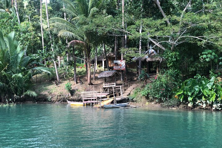 Private Day Trip Cebu to Bohol w/ Chocolate Hills & Loboc Cruise