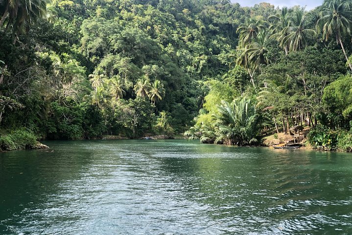 Private Day Trip Cebu to Bohol w/ Chocolate Hills & Loboc Cruise