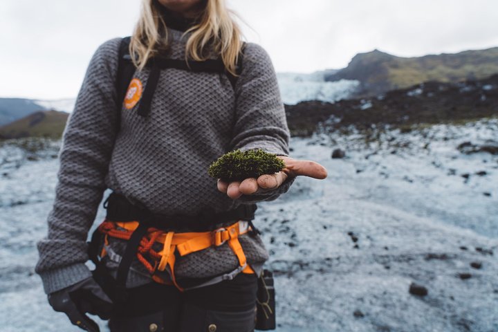 Vatnajökull Guided Beginner Glacier Walk with 4x4 Transfer