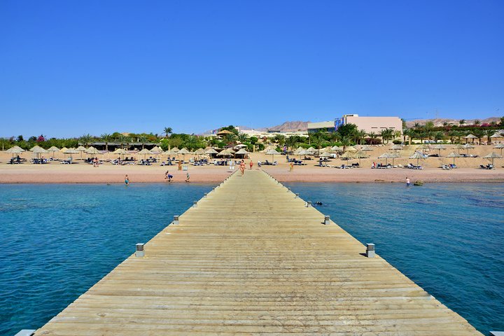Glass Boat & Snorkeling with day use of Berenice Beach Club