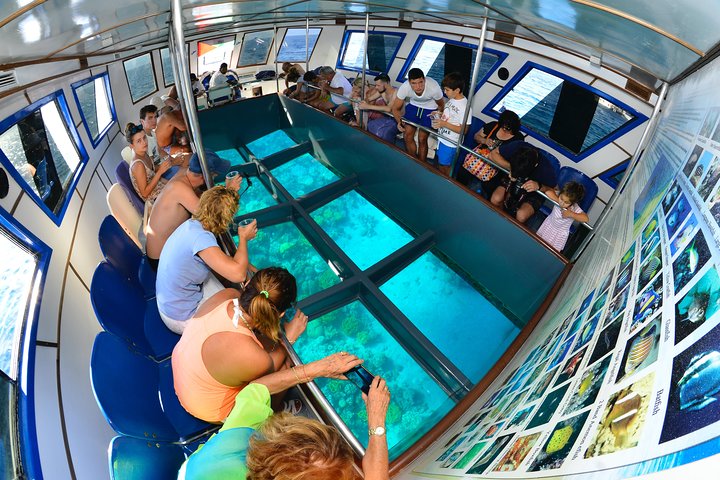 Glass Boat & Snorkeling with day use of Berenice Beach Club