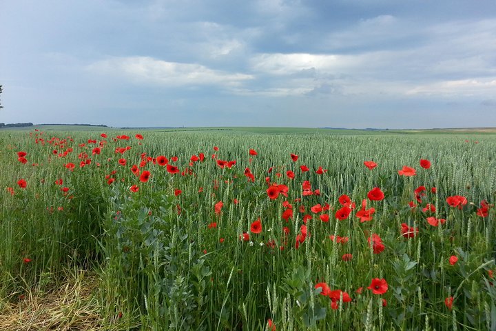 Australian private Somme tour including Sir John Monash Centre