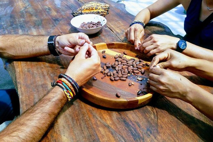 Mindo Cloud Forest Private Tour: Chocolate, Coffee, Birds, Nature