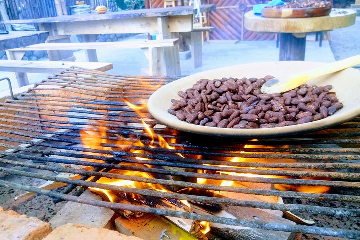 Mindo Cloud Forest Private Tour: Chocolate, Coffee, Birds, Nature