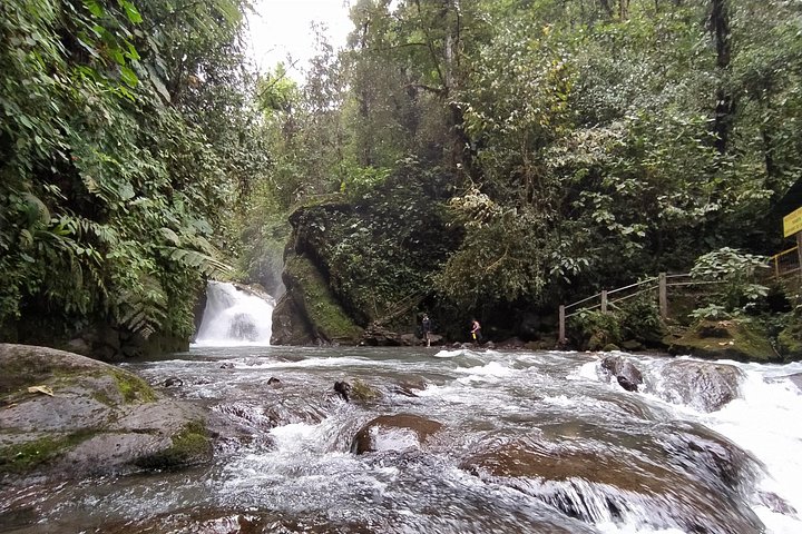 Mindo Cloud Forest Private Tour: Chocolate, Coffee, Birds, Nature