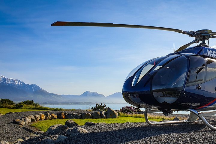 Kaikoura Helicopters Classic Whale Watch